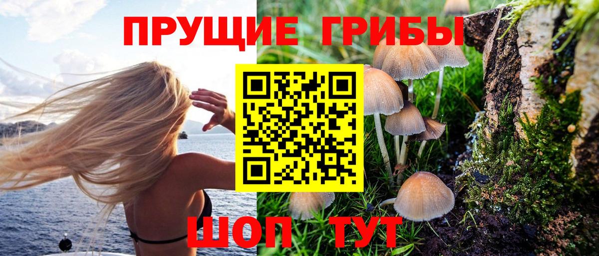 Псилоцибиновые грибы прущие грибы  Вход с VPN  Родники 